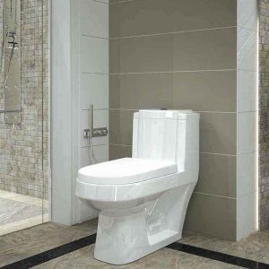 فرنگی یک تکه آترینا