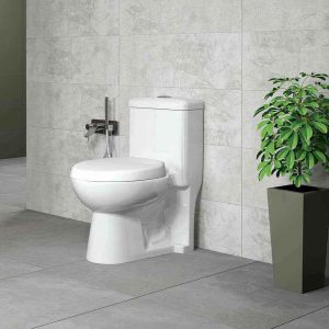 فرنگی یک تکه کالادیوم