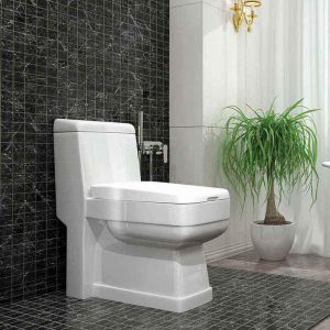 فرنگی یک تکه کیمیا (ریم جت)