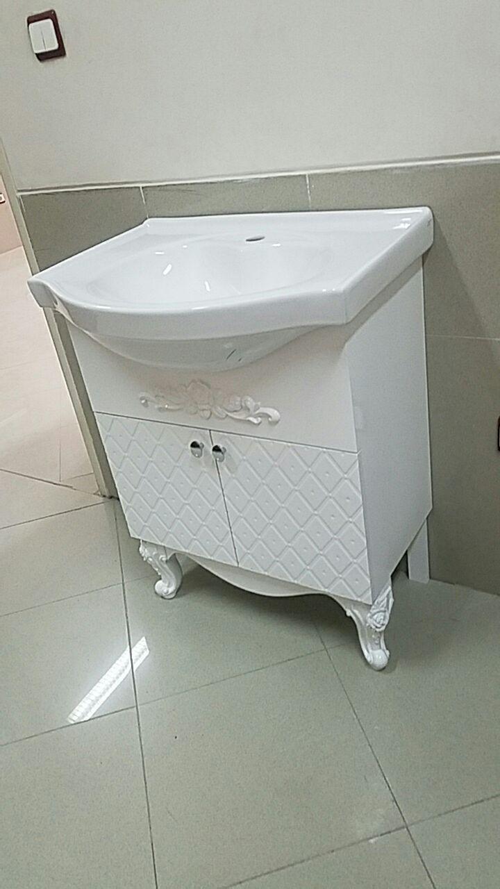 کاملیا کاملیا